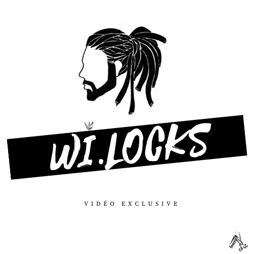 MAITRISER LES LOCKS - LE GUIDE COMPLET DE A à Z PAR WI.LOCKS (AVEC VIDÉO INCLUS)